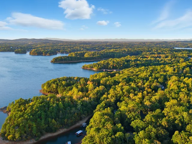 Drone view over wooded Lake Lanier coves