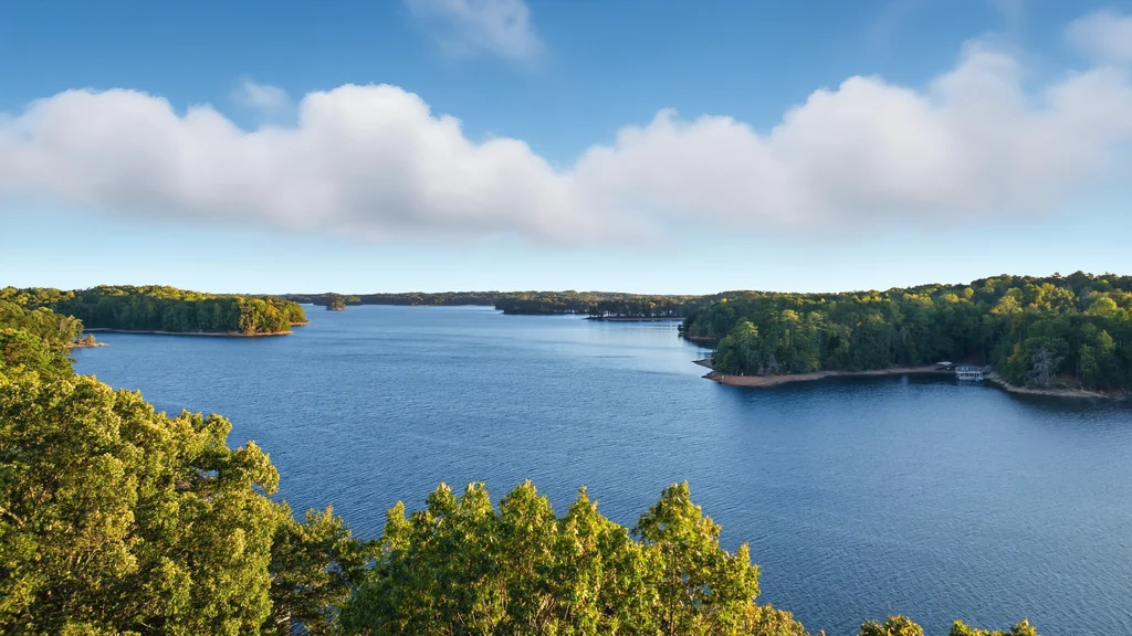 Open water on Lake Lanier from above the treeline